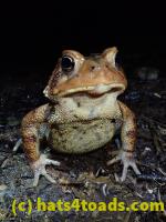 /home//u458753944/public_html/sourcegallery//McKaig Nature Center/2020-09-27/P9270749.JPG